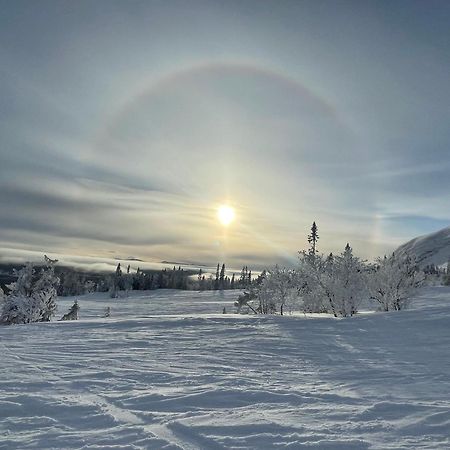 Villa Edvinsvaeg 8 Åre Kültér fotó