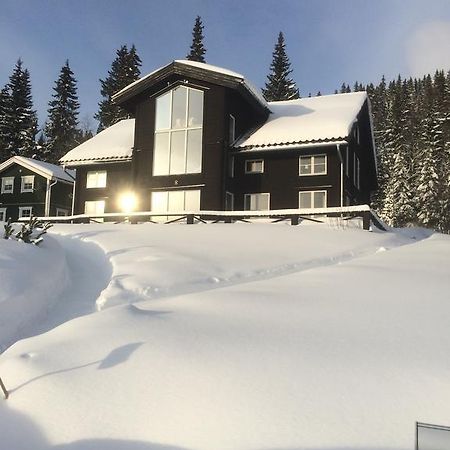Villa Edvinsvaeg 8 Åre Kültér fotó