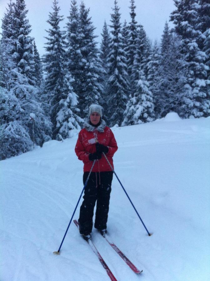 Villa Edvinsvaeg 8 Åre Kültér fotó