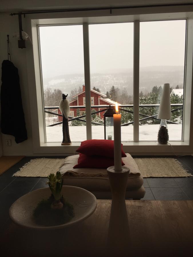 Villa Edvinsvaeg 8 Åre Kültér fotó